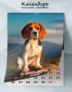 Календарь настенный, перекидной О себе: Бигль на 2026 год