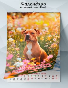 Календарь настенный, перекидной О себе: Американский стаффордширский терьер на 2026 год