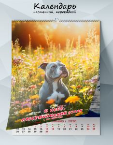 Календарь настенный, перекидной О себе: Американский булли на 2026 год