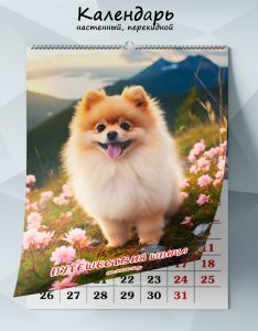 Календарь настенный, перекидной Путешествия шпица на 2026 год
