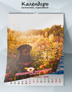 Календарь настенный, перекидной Красавец ротвейлер на 2026 год