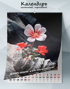 Календарь настенный, перекидной Живущие среди камней на 2026 год