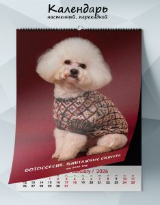 Календарь настенный, перекидной Фотоссесия. Винтажные свитера на 2026 год