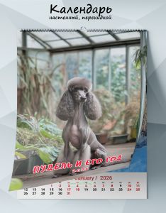 Календарь настенный, перекидной Пудель и его год на 2026 год