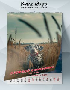 Календарь настенный, перекидной Озорной далматинец на 2026 год