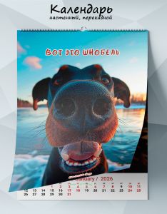 Календарь настенный, перекидной Вот это шнобель на 2026 год