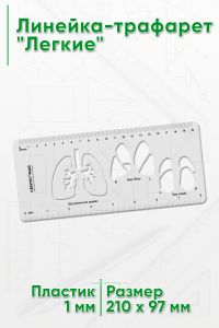 Линейка-трафарет Легкие