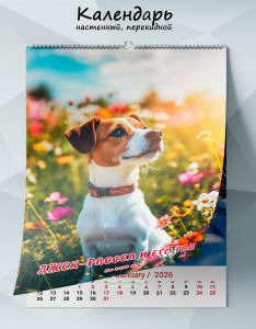 Календарь настенный, перекидной Джек-рассел и его год на 2026 год