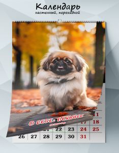 Календарь настенный, перекидной О себе: Пекинес на 2026 год