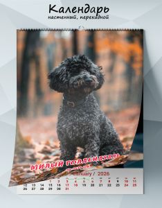Календарь настенный, перекидной Милый голдендудль на 2026 год