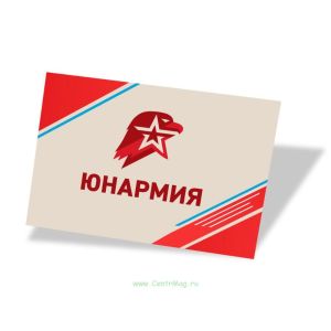 Магнит Юнармия