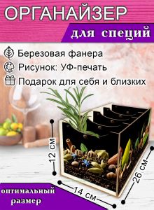 Органайзер для специй Специи, 4 отсека, 12х14х26 см