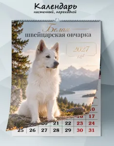 Календарь настенный, перекидной Белая швейцарская овчарка на 2027 год