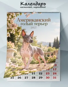 Календарь настенный, перекидной Американский голый терьер на 2027 год
