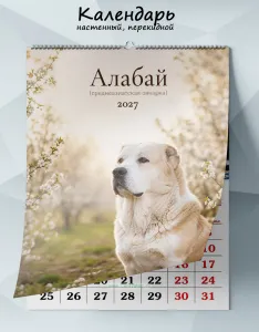 Календарь настенный, перекидной Алабай (среднеазиатская овчарка) на 2027 год