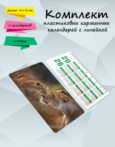 Комплект пластиковых карманных календарей с линейкой Пушистые истории