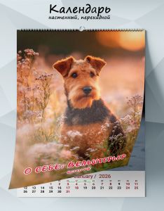 Календарь настенный, перекидной О себе: Вельштерьер на 2026 год