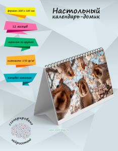 Настольный календарь-домик Кто здесь? на 2026 год