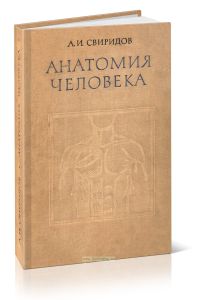 Анатомия человека