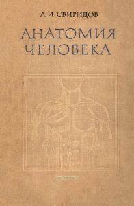 Анатомия человека