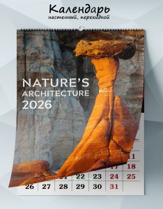 Календарь настенный, перекидной Nature’s architecture №2 на 2026 год