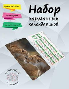 Комплект пластиковых карманных календарей с линейкой Пушистые истории