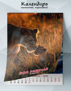 Календарь настенный, перекидной Под защитой на 2026 год