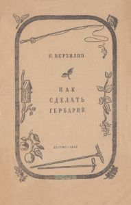 Как сделать гербарий