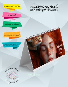 Настольный календарь-домик Обними кота на 2026 год