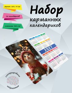 Набор карманных календариков на 2027 год Рождественский котенок, 10х7 см (16 шт)
