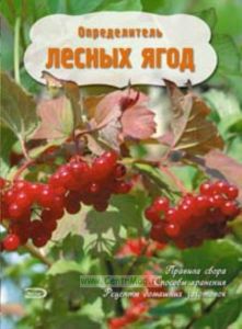 Определитель лесных ягод