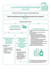 Плакат Алгоритм первой помощи при ожогах