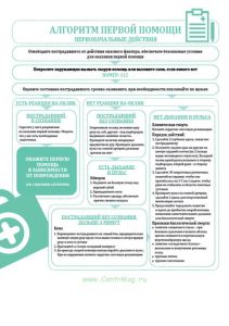 Плакат Алгоритм первой помощи. Первоначальные действия