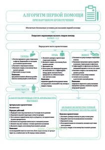 Плакат Алгоритм первой помощи при наружном кровотечении