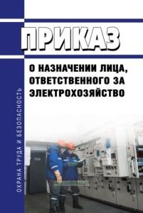 Приказ о назначении лица, ответственного за электрохозяйство