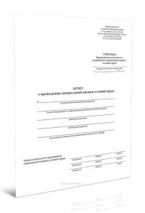 Отчет о проведении специальной оценки условий труда