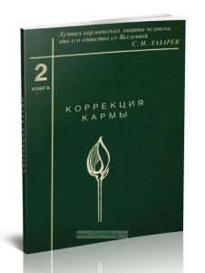 Коррекция кармы. Книга 2