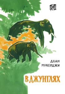 В джунглях