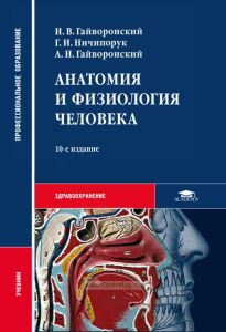 Анатомия и физиология человека