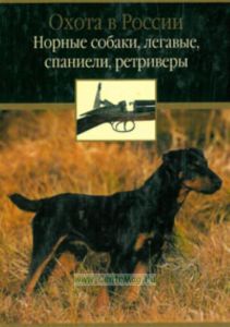 Норные собаки, легавые, спаниели, ретриверы. Охота в России