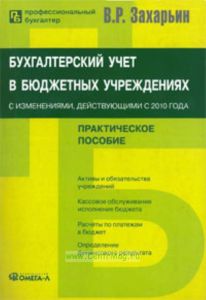 Бухгалтерский учет в бюджетных учреждениях. Новые правила ведения учета