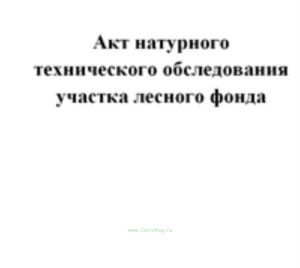 Акт натурного технического обследования участка лесного фонда