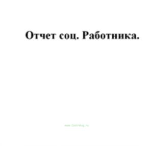 Отчет соц. работника (100шт)