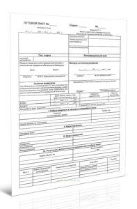 Путевой лист легкового такси (Форма № ПЛ-1) (Приказ Министерства Транспорта РФ № 390)