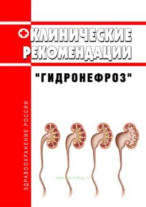 Клинические рекомендации "Гидронефроз" (Взрослые, Дети) 2025 год. Последняя редакция