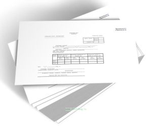 Полетный лист