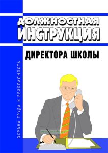 Должностная инструкция директора школы