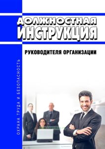 Должностная инструкция руководителя организации