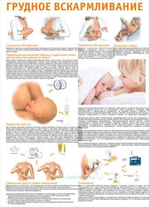 Плакат Грудное вскармливание