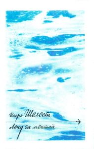 Лечу за мечтой